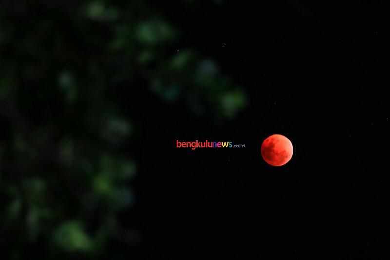Fenomena Super Blue Blood Moon, Pemprov Bengkulu Gelar Sholat Khusuf