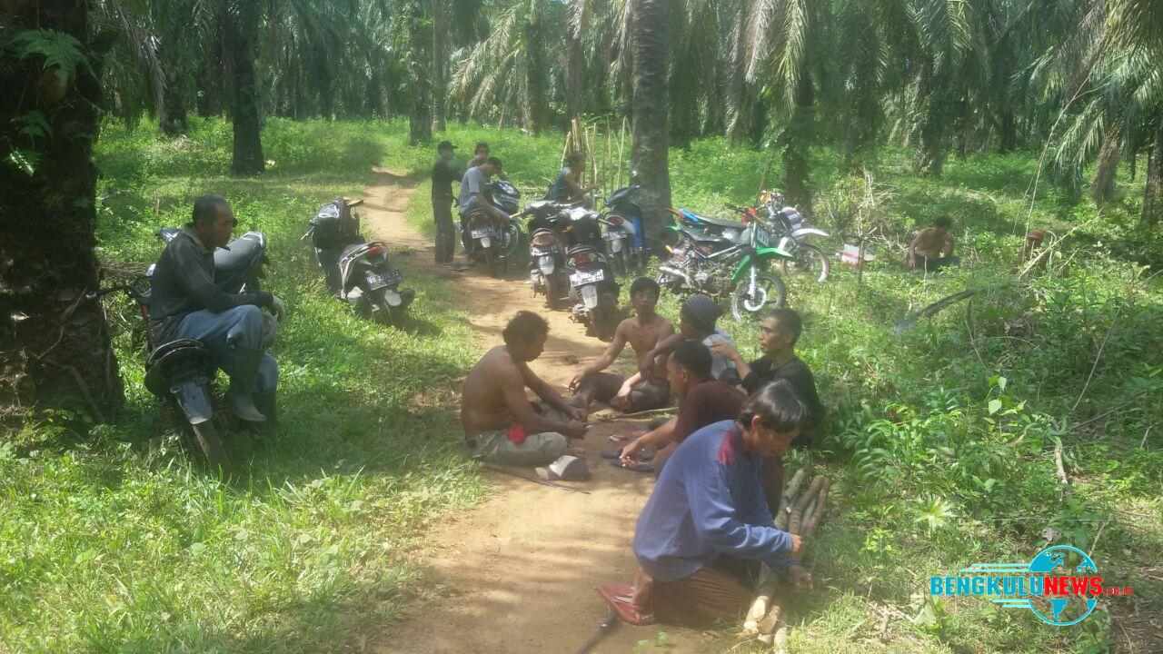 Warga Padang Betuah Ambil Alih Lahan PT GMP