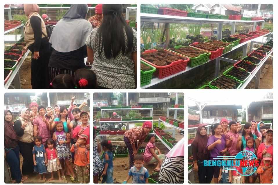 DKP Dorong Pertanian Perkarangan Jadi Gaya Hidup