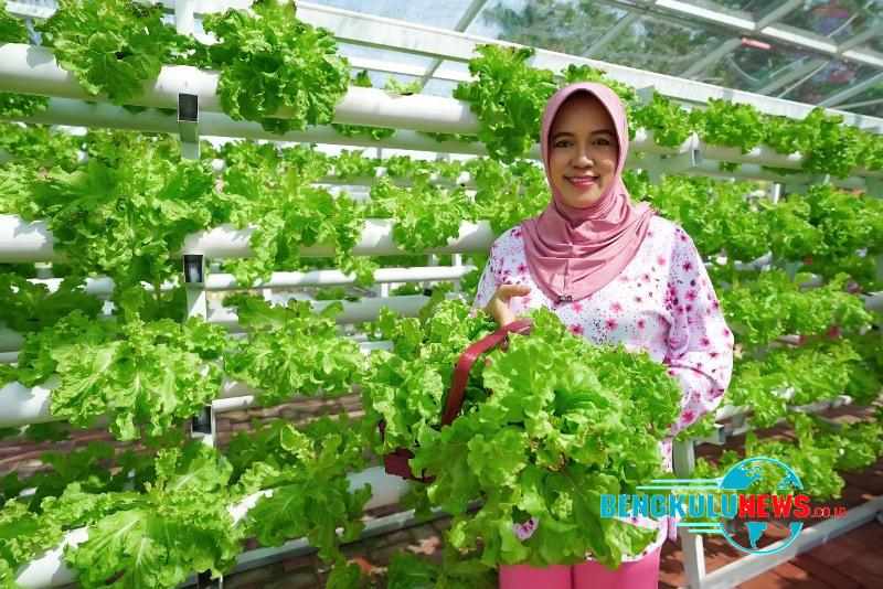 Plt Ketua Tim Penggerak PKK Provinsi Derta Wahyulin
