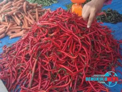 Harga Cabai di Pasar Panorama Kota Bengkulu Kembali Turun