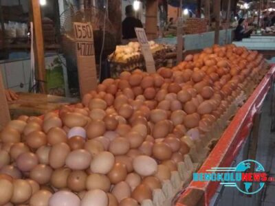 Harga Telur Naik, Pedagang Kehilangan Pembeli