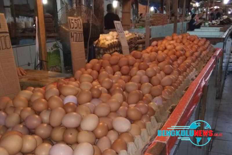Harga Telur Naik, Pedagang Kehilangan Pembeli