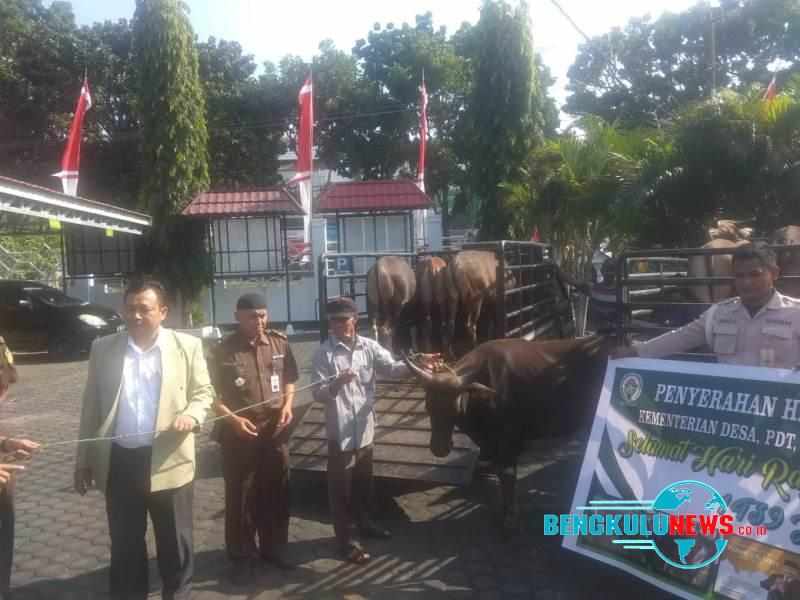Kemendes PDTT Serahkan Hewan Kurban ke Kejati Bengkulu