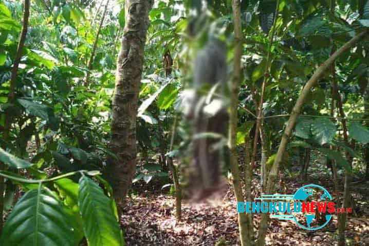 Jenazah petani yang ditemukan di tengah perkebunan kopi