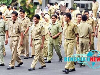 Tidak Ada CPNS untuk Bengkulu Tahun Ini, Kuota PPPK Terbanyak di Tenaga Pendidikan
