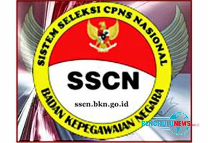 Ratusan Pelamar CPNS Bengkulu Utara Belum Kirimkan Berkas Fisik
