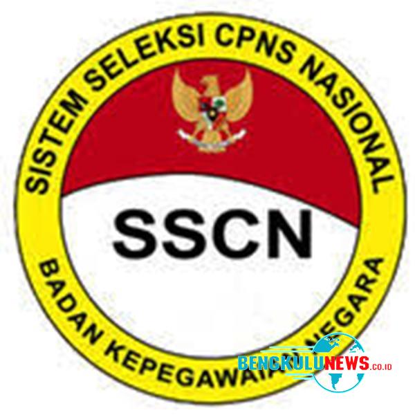 Sistem Seleksi CPNS Nasional