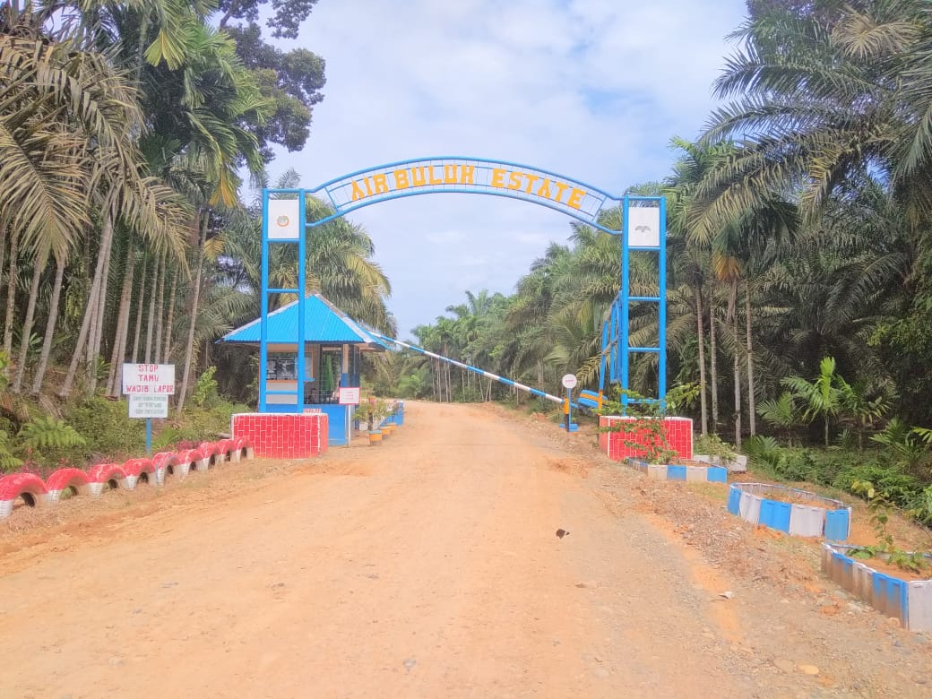 Tokoh Pemuda Desa Air Buluh Tuduh Kades Terima Suap HGU