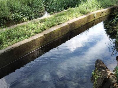 Tahun Ini, Kelompok Tani Dapat Bantuan Pembesaran Ikan