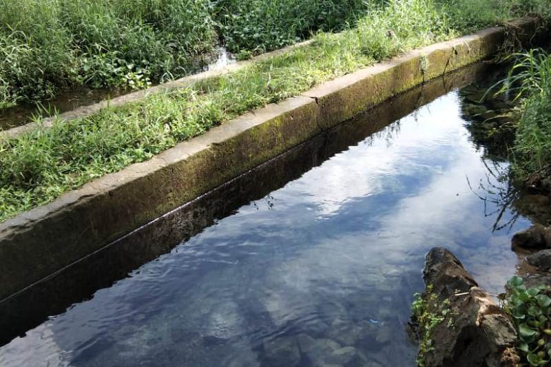 Tahun Ini, Kelompok Tani Dapat Bantuan Pembesaran Ikan