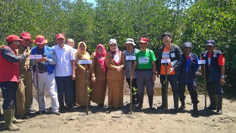 Penanaman mangrove di lokasi pusat edukasi mangrove PMI kelurahan Sumber Jaya (4)