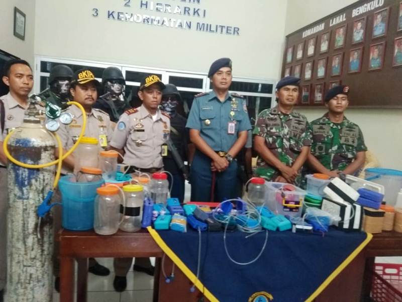 TNI AL Amankan Tersangka Pengepul Baby Lobster