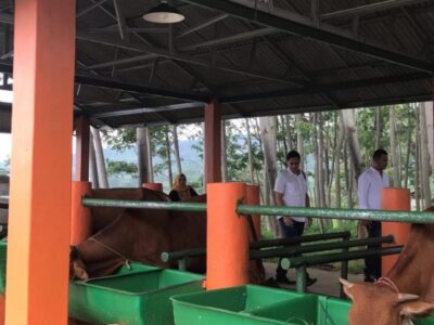 Tommy Soeharto Unggulkan Kemandirian Pangan dan Energi untuk Rakyat