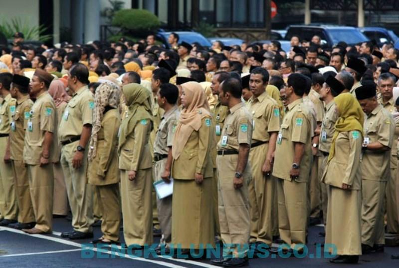 Foto Ilsutrasi ASN Apel : Istimewa