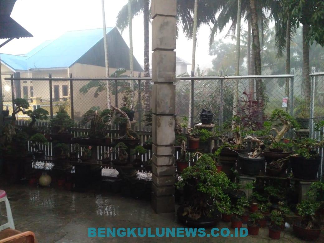 Sehari Pasca Salat Istisqa, Hujan Basahi Wilayah Bengkulu