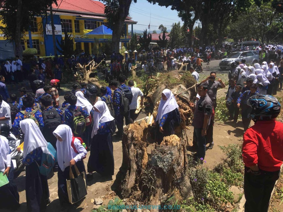 Empat Warga Ditimpa Pohon Tumbang, Satu Orang Meninggal
