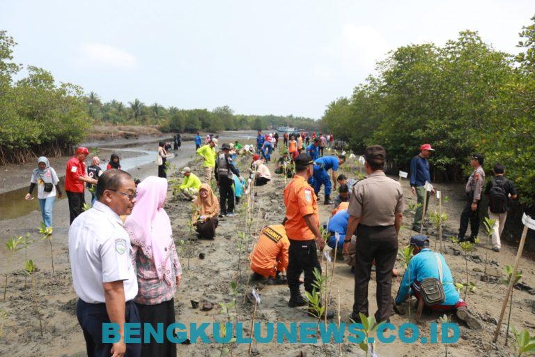 Pemkot dan PMI Tanam 500 Bibit Mangrove
