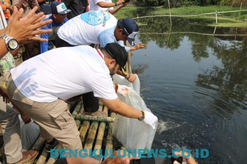 6000 Benih Lele Dilepas di 43 Titik Drainase Kota Bengkulu