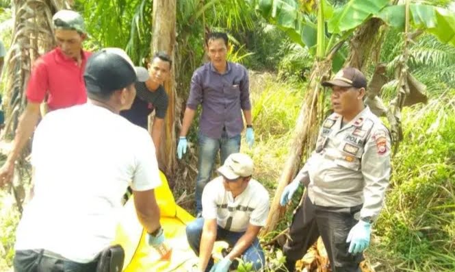 21 Hari Hilang, Warga Pasar Pedati Ditemukan Tewas di Kebun Sawit