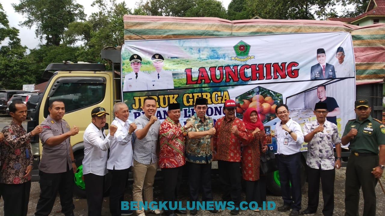 Potensi Ekspor Jeruk Gerga Asal Rejang Lebong Miliaran Perbulan