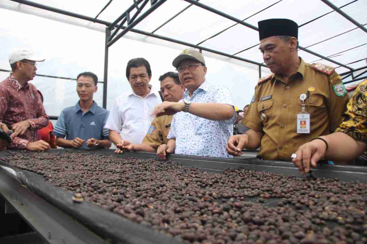 Sekda Kepahiang Dukung Program Pengembangan Kopi Gubernur Bengkulu