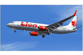 Sepulang dari Tiongkok, Pramugari Lion Air Dirawat