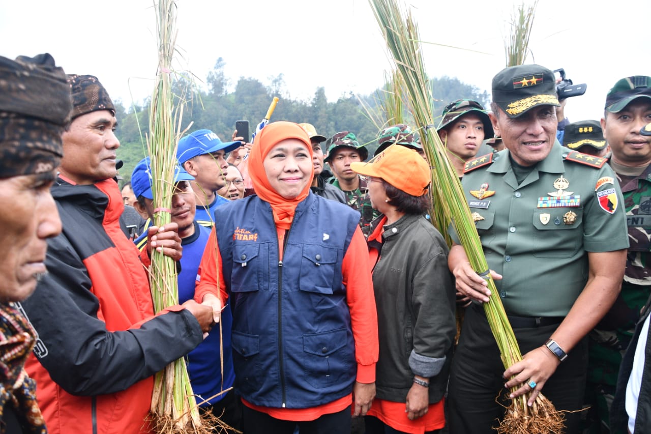 50 Ribu Rumput Vertiver Ditanam di Ranupani
