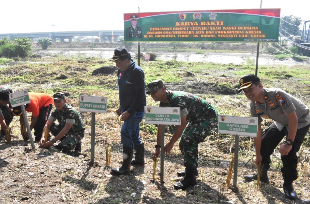 Reboisasi Perbukitan, TNI Gencar Tanam Pohon Vetiver