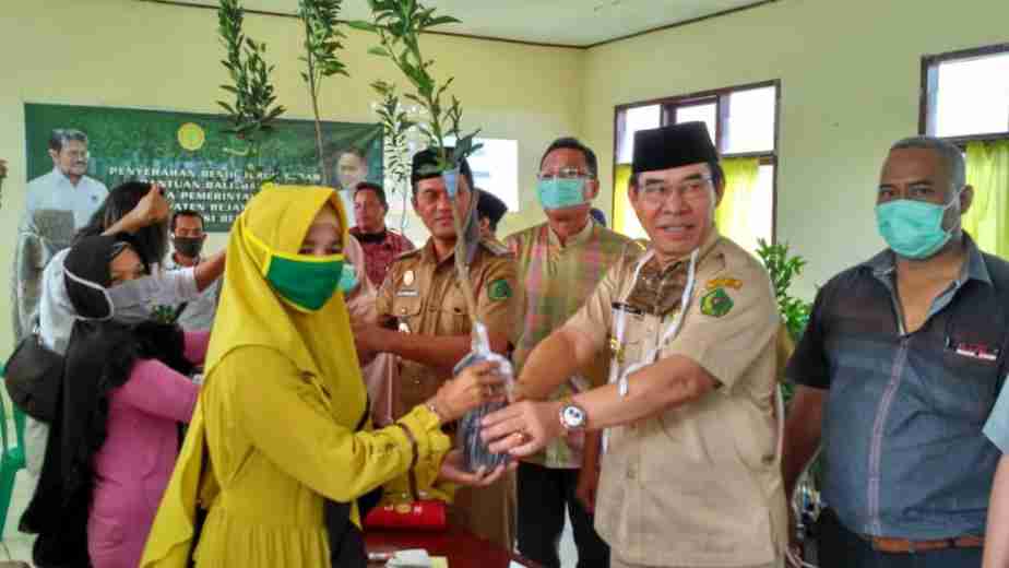 Rejang Lebong Dibantu Ribuan Bibit Jeruk