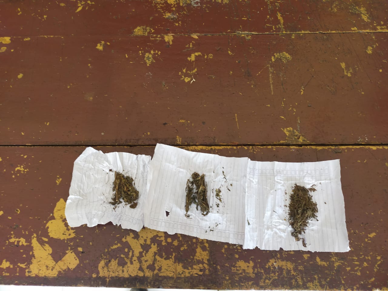 Simpan Ganja, Pemuda Kepahiang Ini Diamankan Polisi
