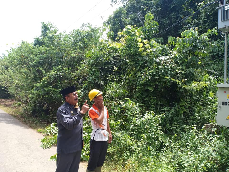 DPRD Benteng Pantau Jaringan Listrik yang Terganggu Semak Belukar