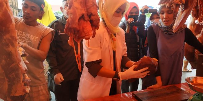 Dispangtan Kota Bengkulu Temukan Organ Hati Terinfeksi Cacing Hati
