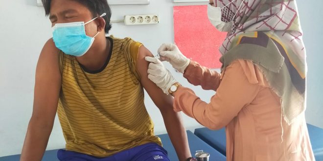 Gerak Cepat Dispangtan Kota Bengkulu Atasi Anjing Rabies