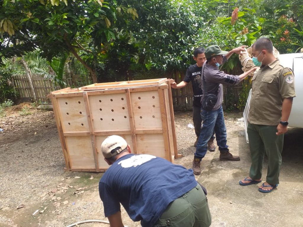 Polres Seluma Amankan Seekor Rusa dari Tangan Warga Semidang Alas