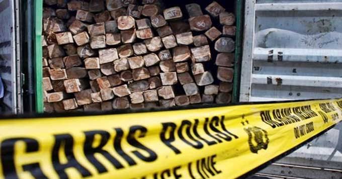 Angkut Kayu HAsil Ilegal Loging, Warga Bengkulu Selatan Diamankan Polisi