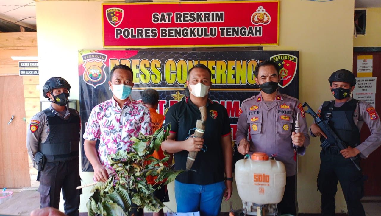 Polres Benteng Amankan Dua Pria yang Berkebun di Dalam Kawasan Hutan