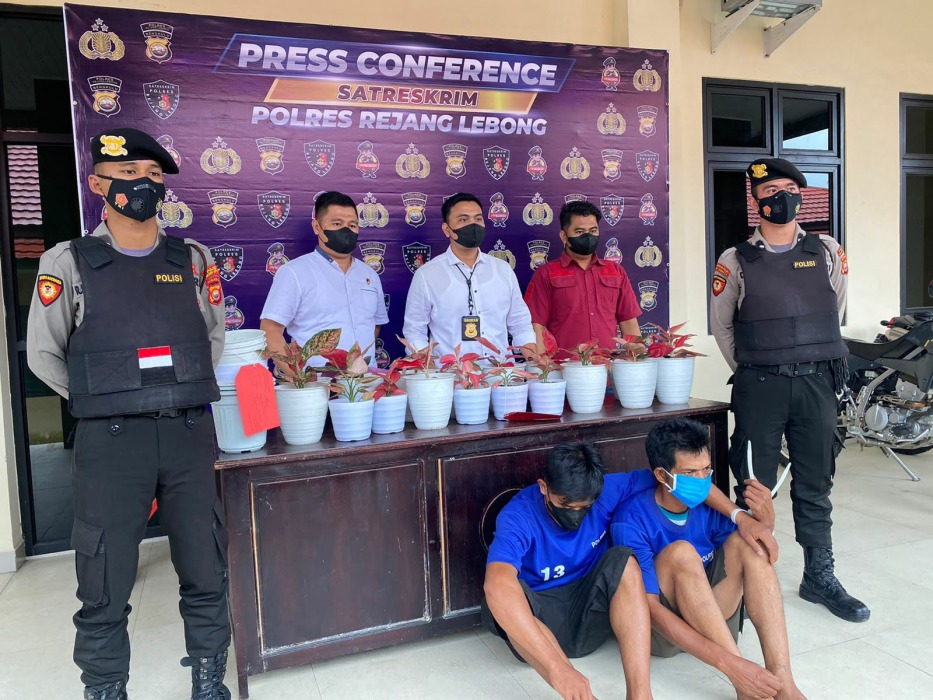 Dua Pencuri Tanaman Hias di Curup Diringkus Polisi