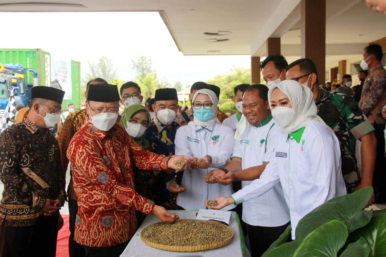 Gubernur Rohidin Optimis Kopi Bengkulu Berkembang