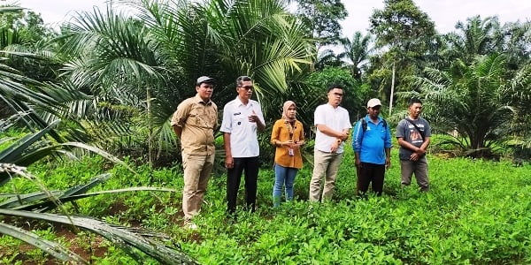 Dewan Puji Kinerja BUMDes Purbosari, Dianggap Berhasil Manfaatkan Dana Desa