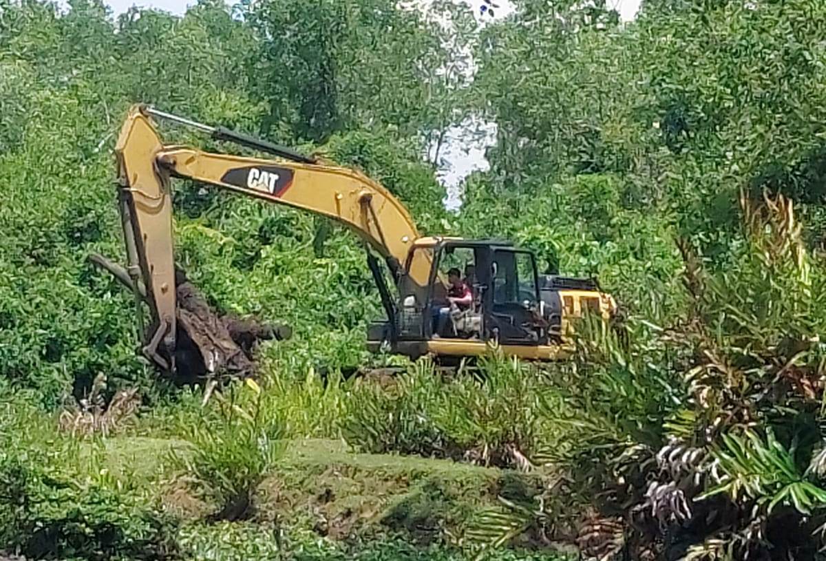 Warga Bumi Ayu Ditangkap Usai Garap Lahan Konservasi