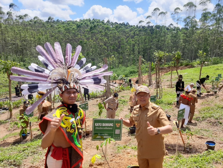 Gubernur Rohidin Tanam Kayu Bawang di IKN Nusantara. Foto, MC