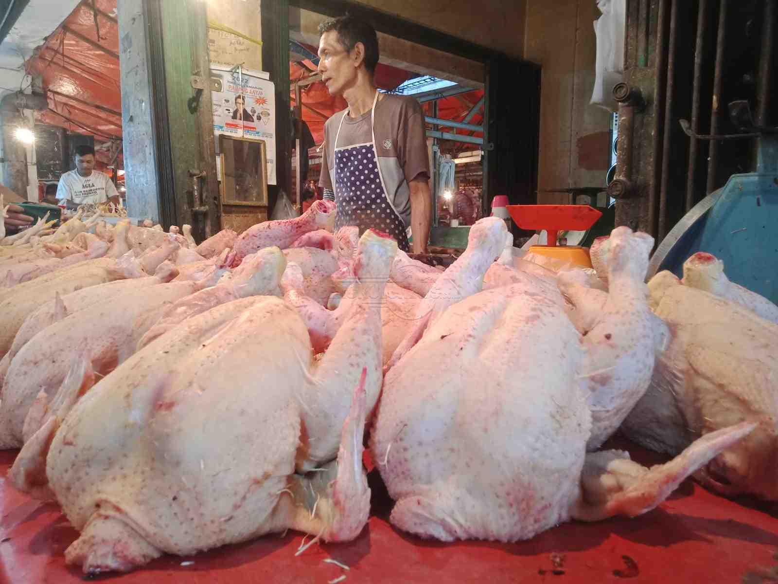 Lebaran Usai, Harga Daging Ayam Tak Mau Turun