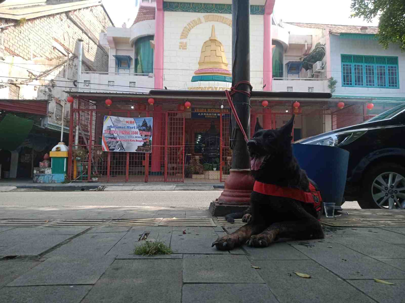 Polisi Turunkan Anjing Pelacak Amankan Perayaan Waisak di Bengkulu