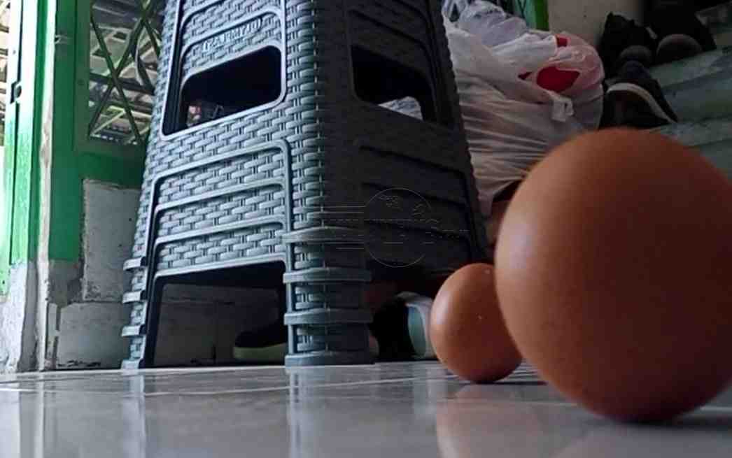Fenomena Telur Berdiri Sendiri saat Sembahyan Bacang