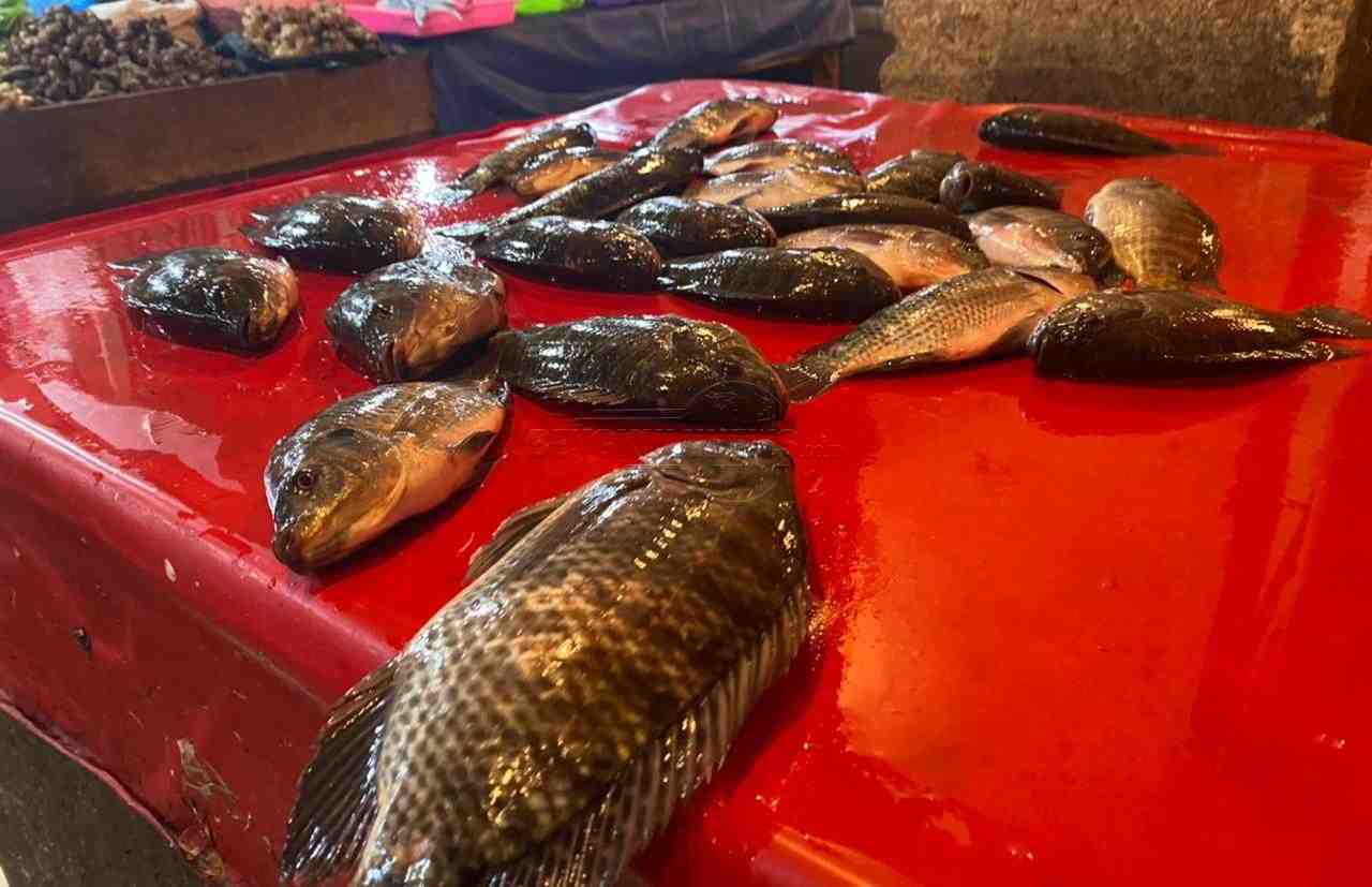Ikan yang dijual di pasar. Foto, Cindy/BN