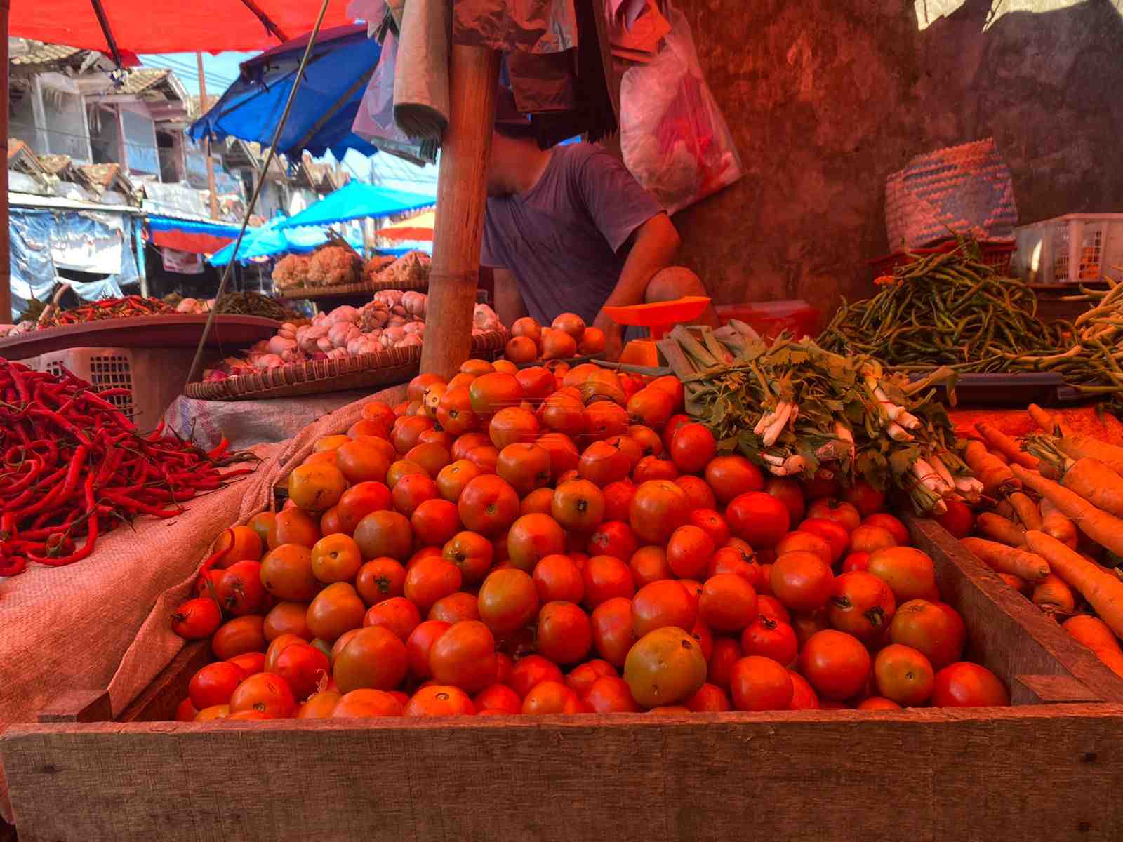 Bikin Pusing! Setelah Cabe Giliran Harga Tomat Ikut Naik