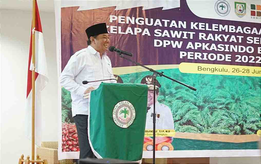 Keluhan Wagub Soal Potensi CPO yang Tidak Terakomodir Karena Pelabuhan Kelas 3