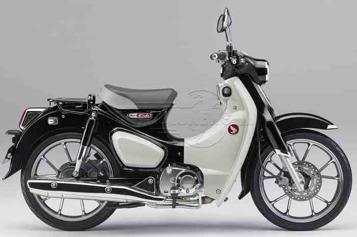 Perbandingan Honda Super Cub C125 dan Honda Super Cub 110 Pro