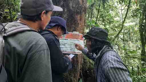 Kurangi Emisi Karbon 400 Ribu Ton, UNIQLO Indonesia Garap Konservasi Hutan di Bengkulu